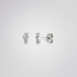 Clous d'oreilles Aria