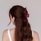 Jarla Pince à Cheveux