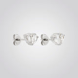 Cassie Clous d'oreilles