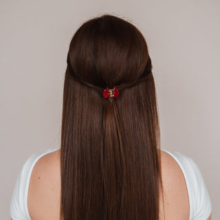 Pince à cheveux Joy