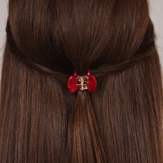 Pince à cheveux Joy