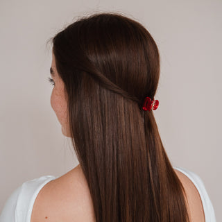 Pince à cheveux Joy
