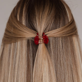 Pince à cheveux Joy