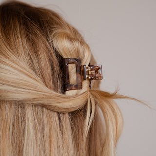 Pince à cheveux Brielle