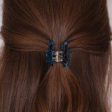 Pince à cheveux Azura