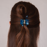 Pince à cheveux Avenia