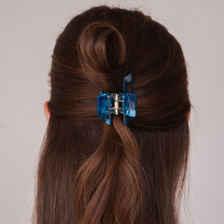 Pince à cheveux Avenia