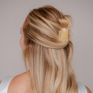 Pince à cheveux Solea