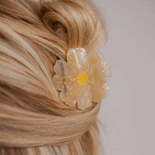 Pince à cheveux Solea