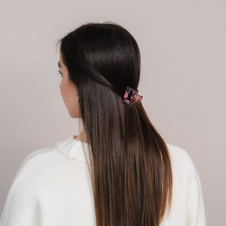 Ylvie Pince à Cheveux