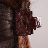 Pince à cheveux Isadora