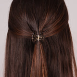 Pince à cheveux Gilda