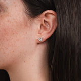 Cassie Clous d'oreilles