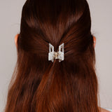 Pince à cheveux Sue
