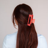 Carly Pince à cheveux