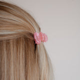 Pince à cheveux Nisa