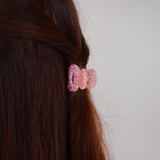 Pince à cheveux Nisa