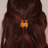Pince à cheveux Livia