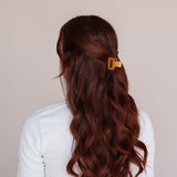 Pince à cheveux Livia