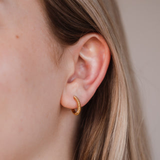 Boucles d'oreilles Rey