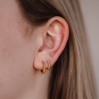 Boucles d'oreilles Rey