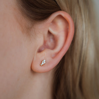 Clous d'oreilles Aria