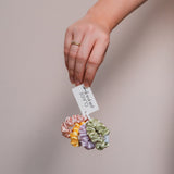 Lot de petits chouchous pastel